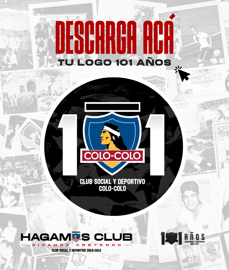 DESCARGA 101